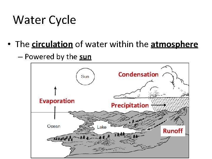 Water Cycle • The circulation of water within the atmosphere – Powered by the