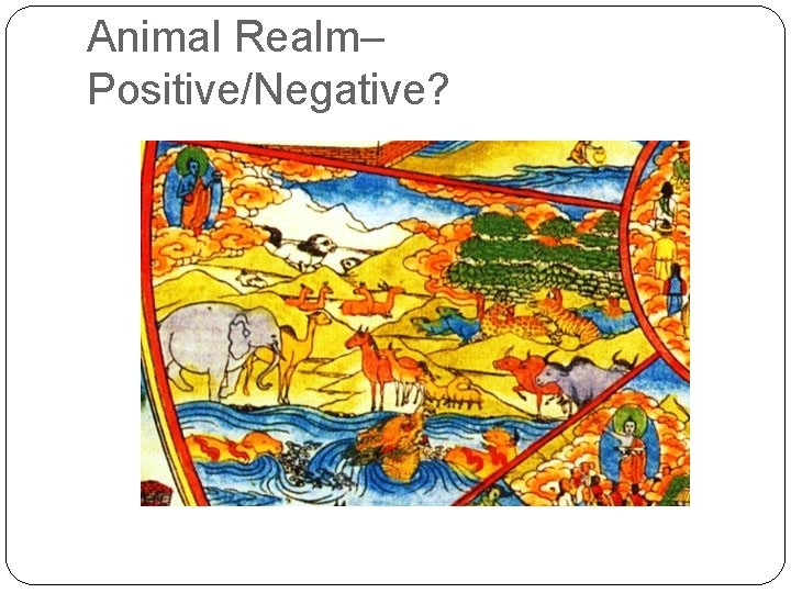 Animal Realm– Positive/Negative? 