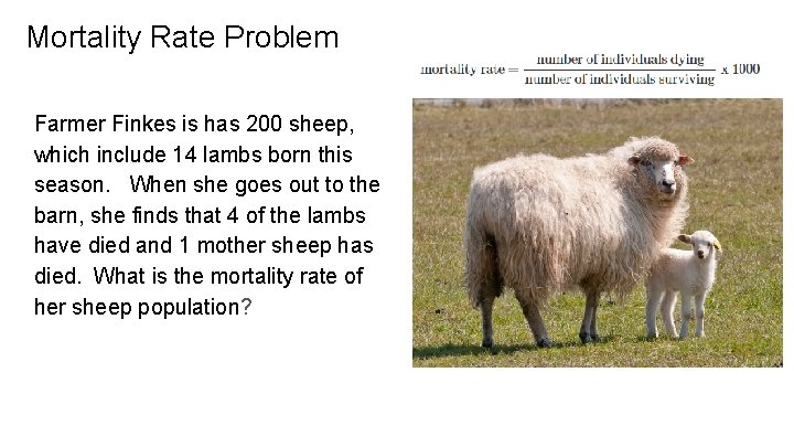 Mortality Rate Problem Farmer Finkes is has 200 sheep, which include 14 lambs born