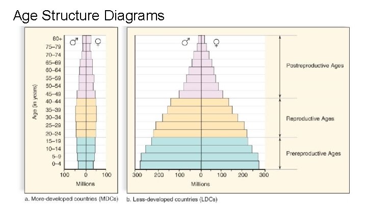 Age Structure Diagrams 