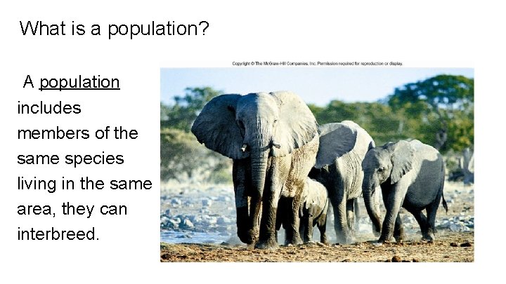 What is a population? A population includes members of the same species living in