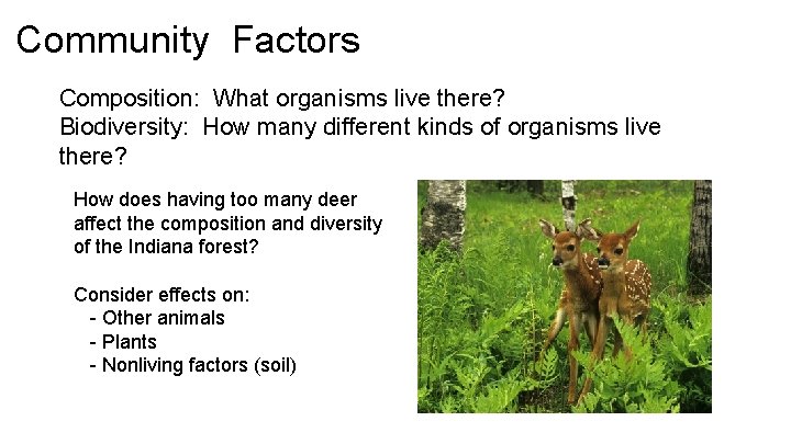 Community Factors Composition: What organisms live there? Biodiversity: How many different kinds of organisms