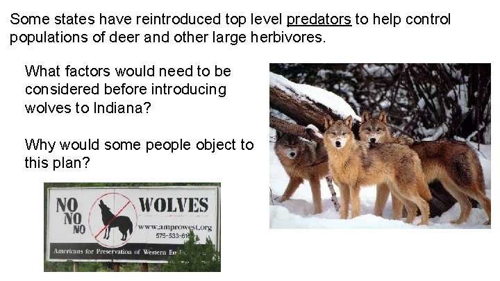 Some states have reintroduced top level predators to help control populations of deer and