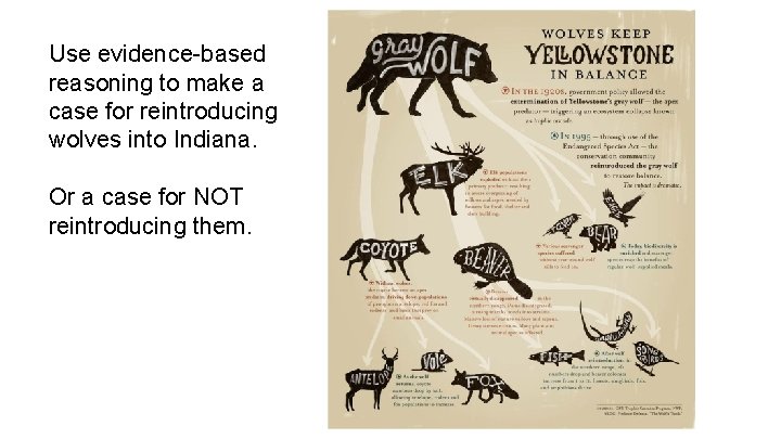 Use evidence-based reasoning to make a case for reintroducing wolves into Indiana. Or a