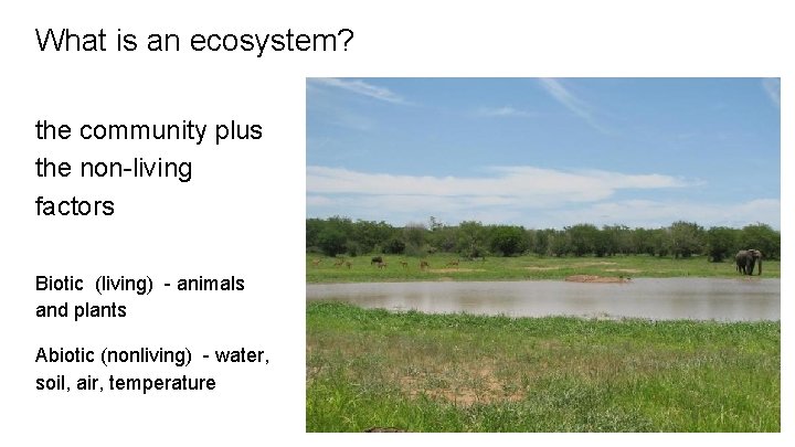 What is an ecosystem? the community plus the non-living factors Biotic (living) - animals