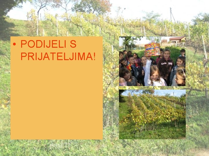  • PODIJELI S PRIJATELJIMA! 