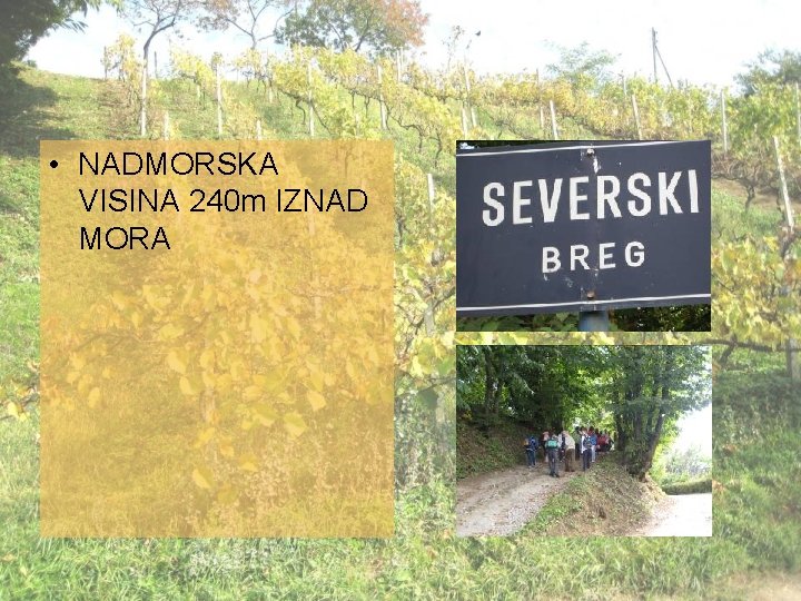  • NADMORSKA VISINA 240 m IZNAD MORA 