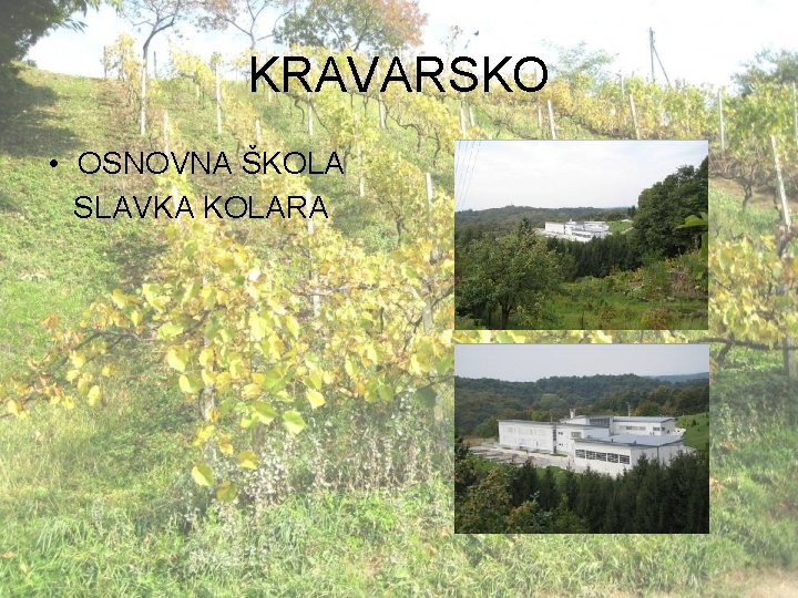 KRAVARSKO • OSNOVNA ŠKOLA SLAVKA KOLARA 