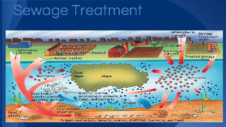 Sewage Treatment 