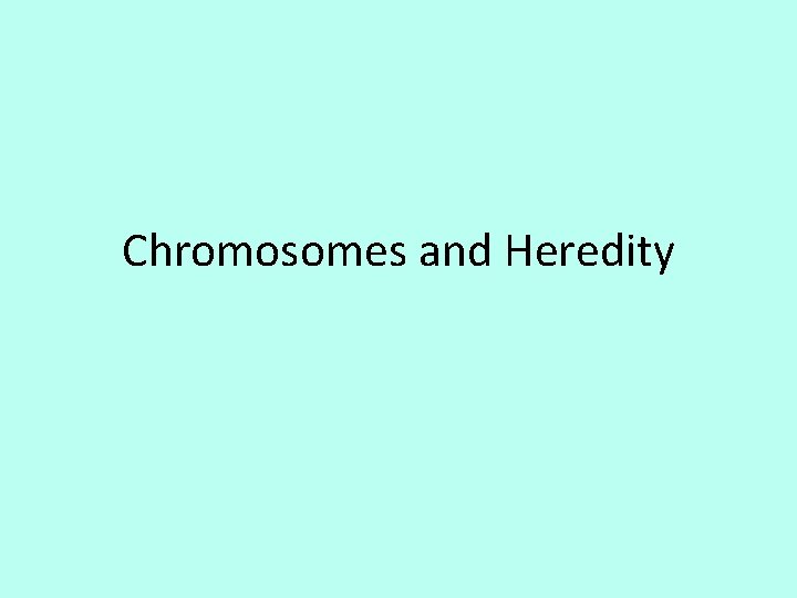 Chromosomes and Heredity 