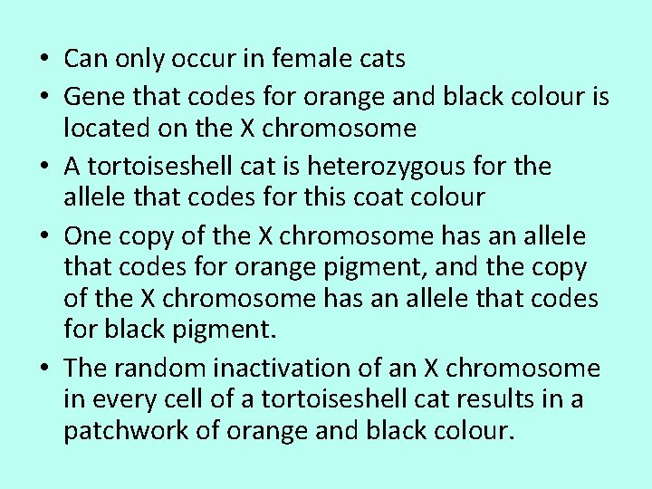  • Can only occur in female cats • Gene that codes for orange