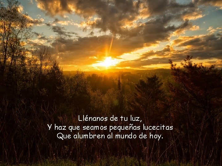 Llénanos de tu luz, Y haz que seamos pequeñas lucecitas Que alumbren al mundo