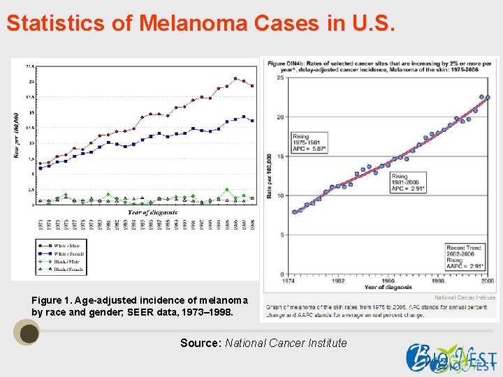 Statistics of Melanoma Cases in U. S. Figure 1. Age-adjusted incidence of melanoma by