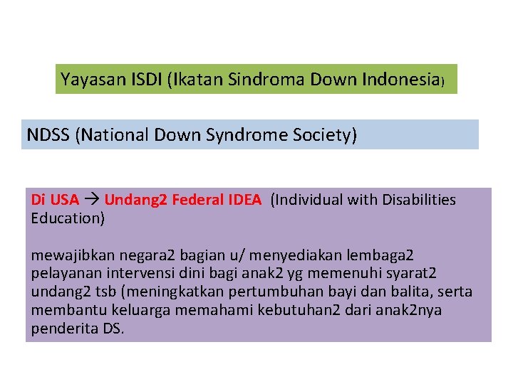 Yayasan ISDI (Ikatan Sindroma Down Indonesia) NDSS (National Down Syndrome Society) Di USA Undang