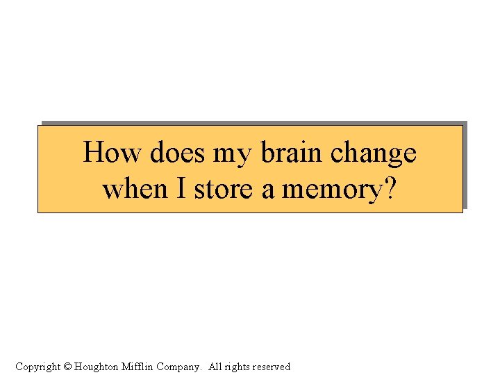 How does my brain change when I store a memory? Copyright © Houghton Mifflin