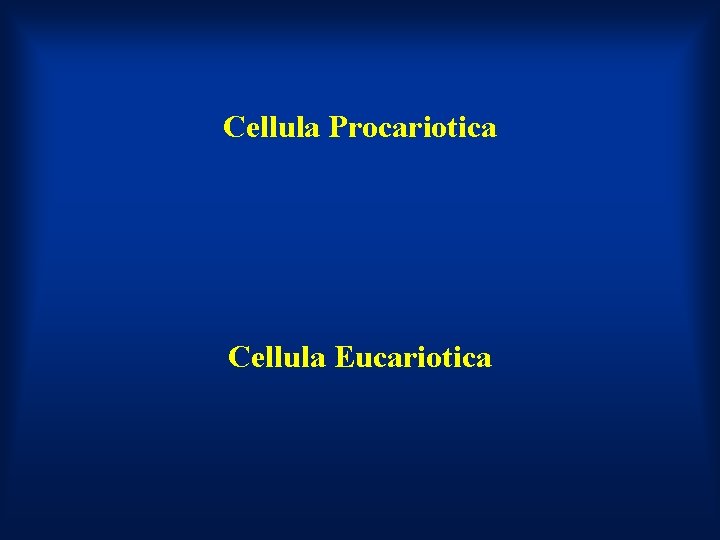 Cellula Procariotica Cellula Eucariotica 