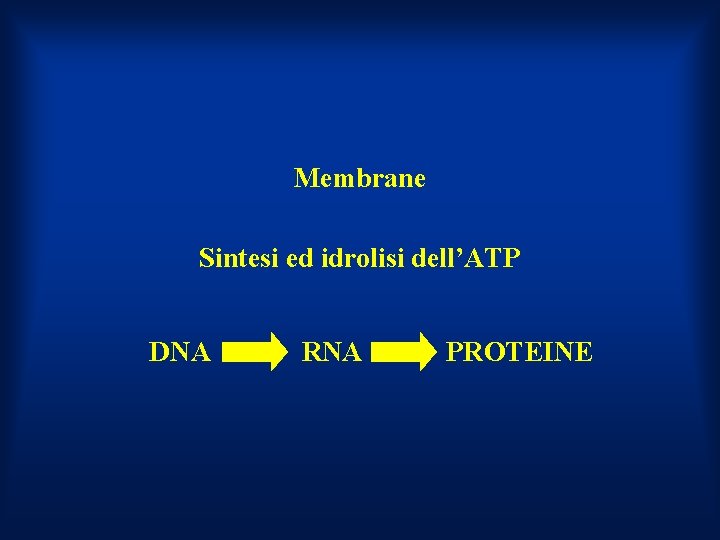 Membrane Sintesi ed idrolisi dell’ATP DNA RNA PROTEINE 