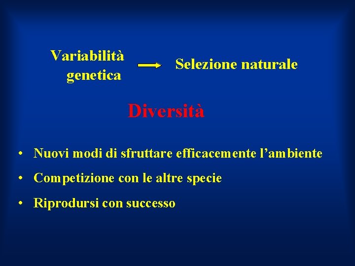 Variabilità genetica Selezione naturale Diversità • Nuovi modi di sfruttare efficacemente l’ambiente • Competizione