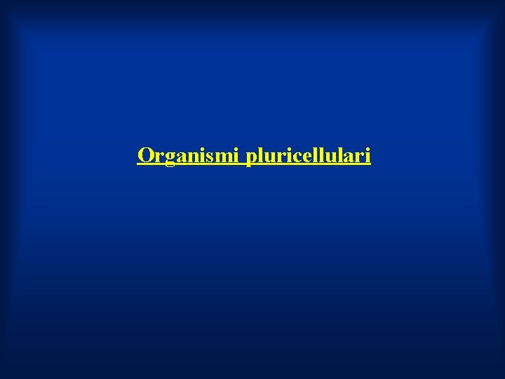 Organismi pluricellulari 