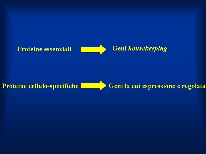 Proteine essenziali Proteine cellulo-specifiche Geni housekeeping Geni la cui espressione è regolata 
