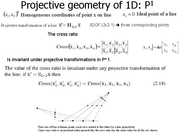 Projective geometry of 1 D: P 1 Homogeneous coordinates of point x on line