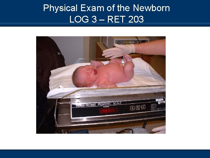 Physical Exam of the Newborn LOG 3 – RET 203 