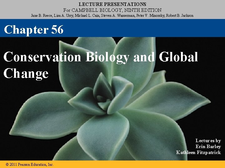 LECTURE PRESENTATIONS For CAMPBELL BIOLOGY, NINTH EDITION Jane B. Reece, Lisa A. Urry, Michael