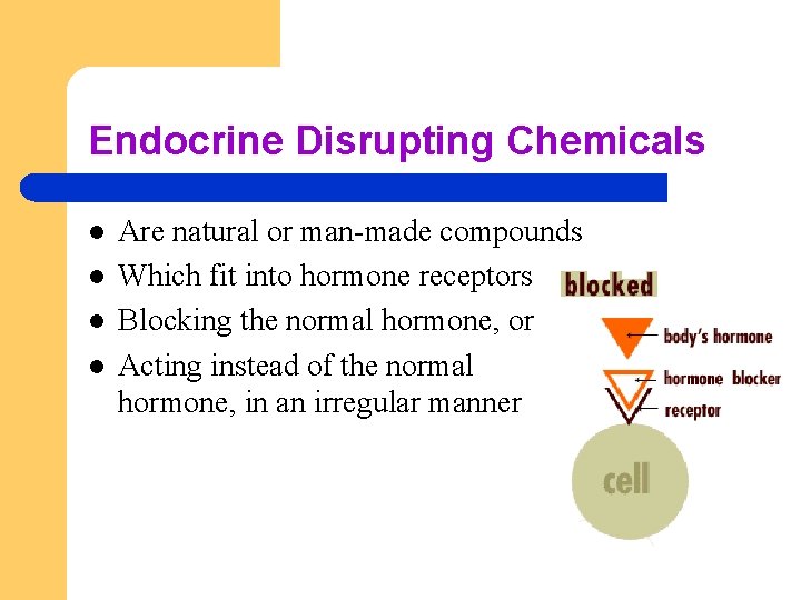 Endocrine Disrupting Chemicals l l Are natural or man-made compounds Which fit into hormone