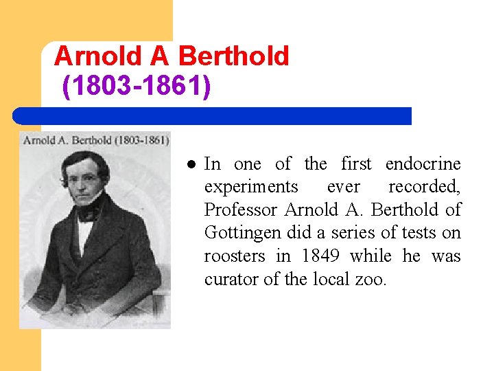 Arnold A Berthold (1803 -1861) l In one of the first endocrine experiments ever