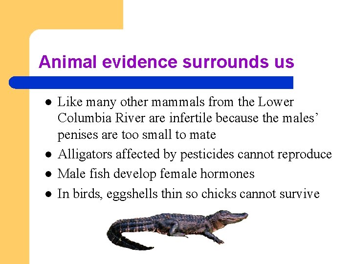 Animal evidence surrounds us l l Like many other mammals from the Lower Columbia