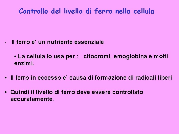 Controllo del livello di ferro nella cellula • Il ferro e’ un nutriente essenziale