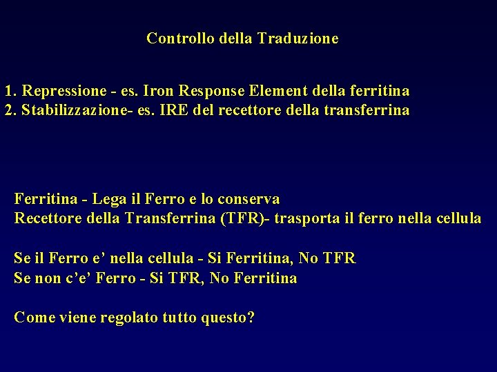 Controllo della Traduzione 1. Repressione - es. Iron Response Element della ferritina 2. Stabilizzazione-