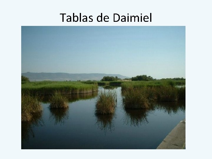 Tablas de Daimiel 