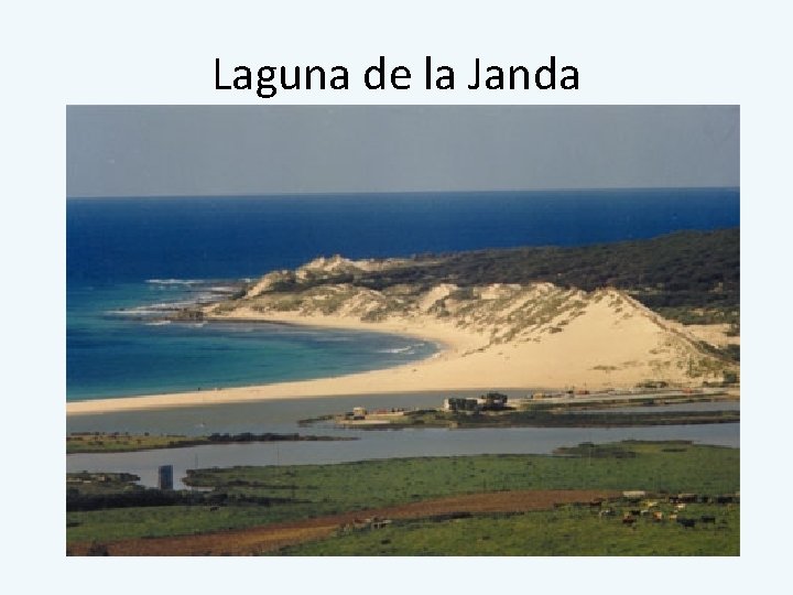 Laguna de la Janda 