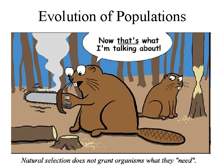 Evolution of Populations 
