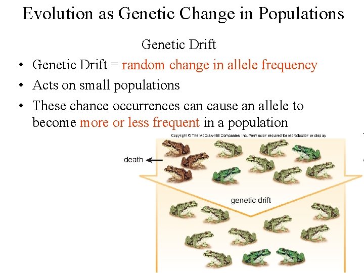 Evolution as Genetic Change in Populations Genetic Drift • Genetic Drift = random change