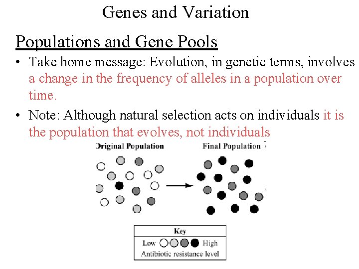 Genes and Variation Populations and Gene Pools • Take home message: Evolution, in genetic