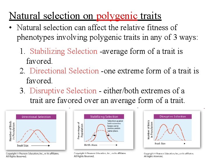 Natural selection on polygenic traits • Natural selection can affect the relative fitness of