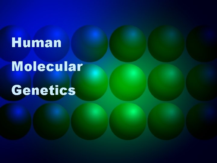 Human Molecular Genetics 