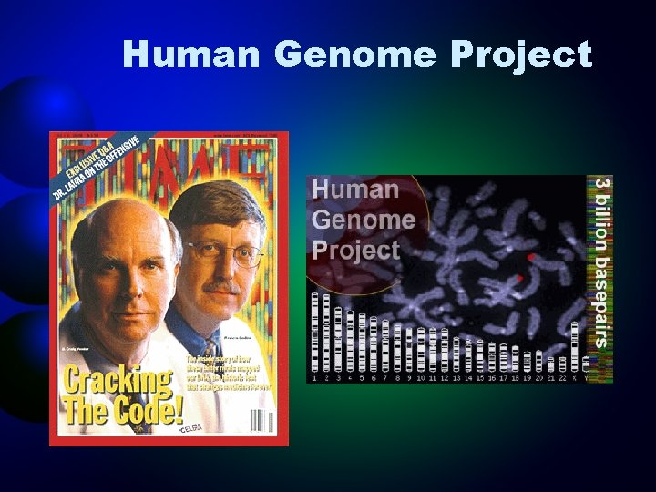 Human Genome Project 