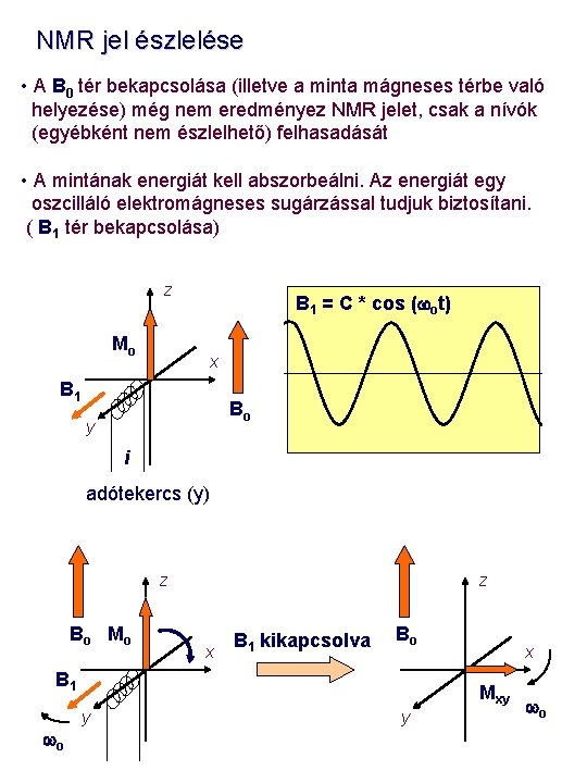 NMR jel észlelése • A B 0 tér bekapcsolása (illetve a minta mágneses térbe