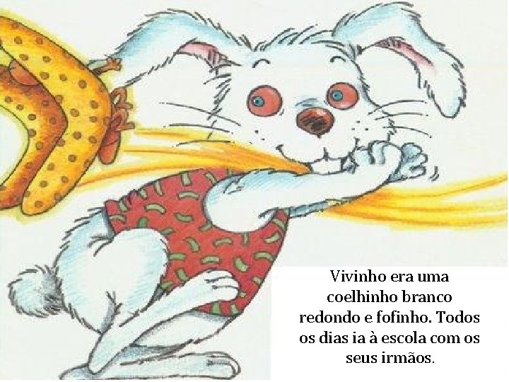 Vivinho era uma coelhinho branco redondo e fofinho. Todos os dias ia à escola