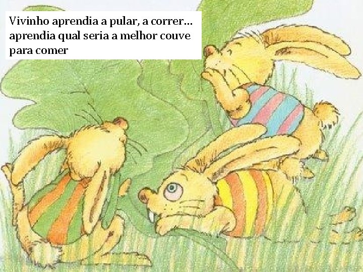 Vivinho aprendia a pular, a correr… aprendia qual seria a melhor couve para comer