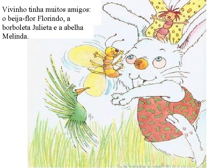 Vivinho tinha muitos amigos: o beija-flor Florindo, a borboleta Julieta e a abelha Melinda.