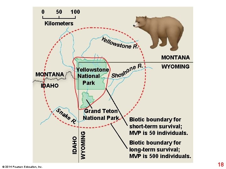 0 50 100 Kilometers MONTANA Yellowstone National Park MONTANA IDAHO Sn ak . IDAHO