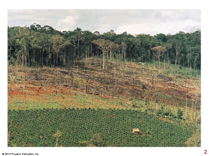 © 2014 Pearson Education, Inc. 2 