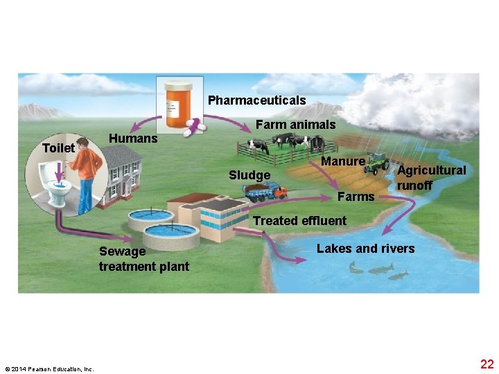 Pharmaceuticals Toilet Humans Farm animals Sludge Manure Farms Agricultural runoff Treated effluent Sewage treatment