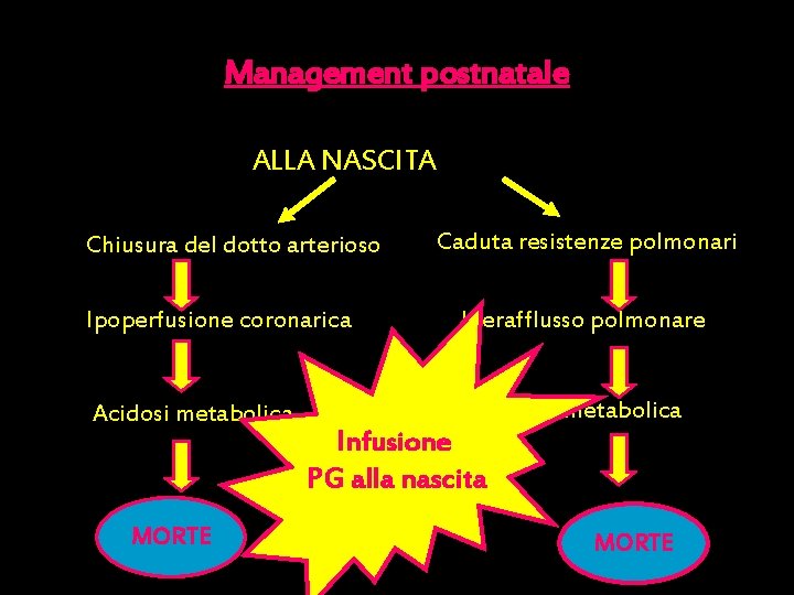 Management postnatale ALLA NASCITA Chiusura del dotto arterioso Ipoperfusione coronarica Acidosi metabolica MORTE Caduta