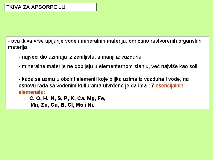 TKIVA ZA APSORPCIJU - ova tkiva vrše upijanje vode i mineralnih materija, odnosno rastvorenih