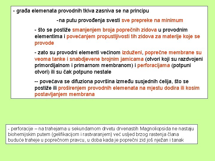 - građa elemenata provodnih tkiva zasniva se na principu -na putu provođenja svesti sve